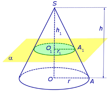 Площадь сечения конуса плоскостью перпендикулярной к оси конуса